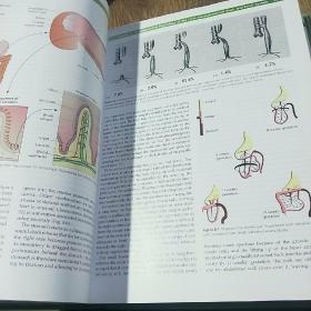 Gregory's Pediatric Anesthesia, With Wiley Desktop Edition