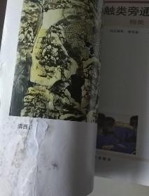 中国画技法新解 触类旁通 树类·山石类