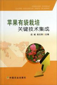 苹果树种植技术书籍 苹果有袋栽培关键技术集成