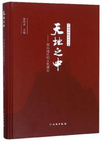 天地之中：嵩山地区的文化观念/河南博物院学术文库