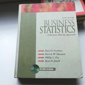 BUSINESS STATISTICS A DECISION-MAKING APPROACH 附光盘