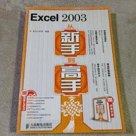 Excel 2003从新手到高手