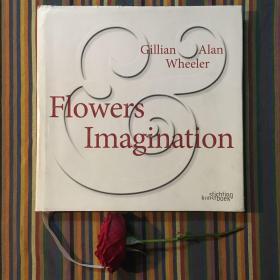 Flowers&Imagination 包邮价