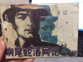 响尾蛇落网记<上册>