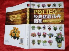 经典盆栽花卉图鉴
