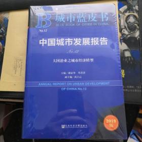 城市蓝皮书：中国城市发展报告（No.12大国治业之城市经济转型2019版）  未开封