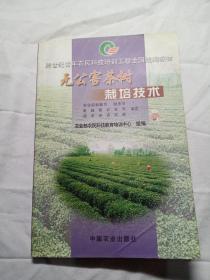 无公害茶树栽培技术