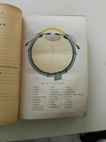 眼科学1956年