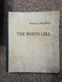 英文  The White Cell  白细胞