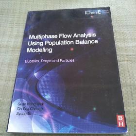 Multiphase Flow Analysis Using Population Balance Modeling（基于种群平衡模型的多相流分析）平装没勾画