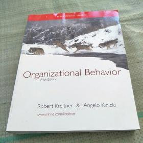 Organizational Behavior Fifth Edition（组织行为 第五版）平装库存  含盘