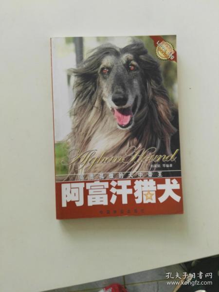 阿富汗猎犬