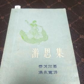 游思集(一版一印，印量10000册。G架5排)