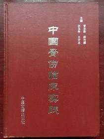 中国骨伤临床实践