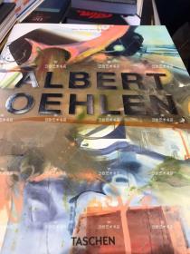 Albert Oehlen 阿尔伯特·厄伦作品全集 精装 大16 开 496页 2017 年