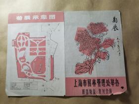 1977年上海菊展简介