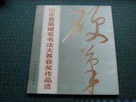 山东首届硬笔书法大赛获奖作品选