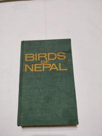 Birds of NEPAL  尼泊尔的鸟类