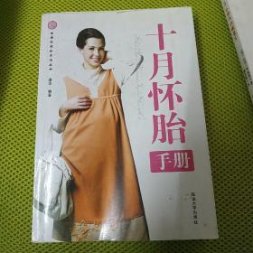 十月怀胎手册