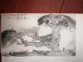 美术插页（单张），苗重安国画作品《黄河之畔》，童中焘国画《莫干山》，赵树松国画《东流不尽》，王金岭国画《华山松》袁义存国画《巨峰滃层云》杨光华国画《夜》，