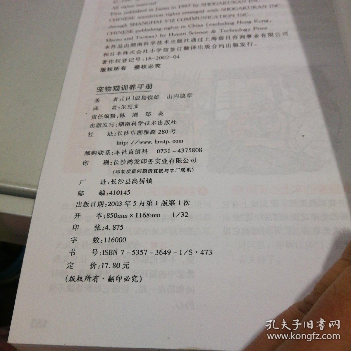 宠物猫训养手册