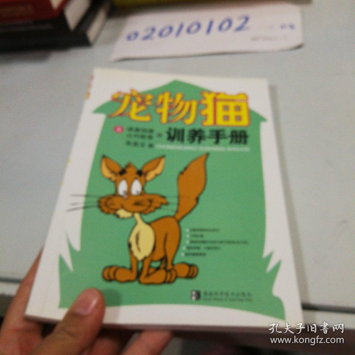 宠物猫训养手册