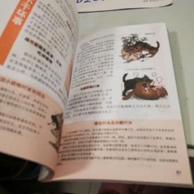 宠物猫训养手册