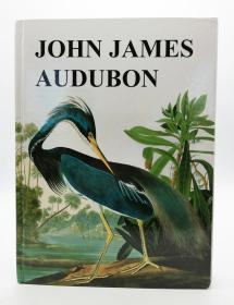 John James Audubon 约翰·詹姆斯·奥杜邦美洲鸟类插画