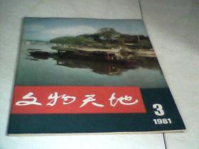 文物天地1981年3期 【16开】