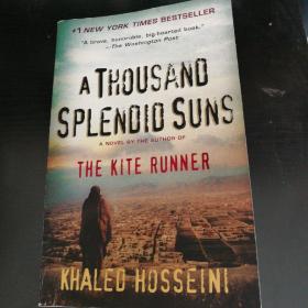 A thousand splendid suns
英文原版