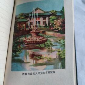 锦城日记。1962