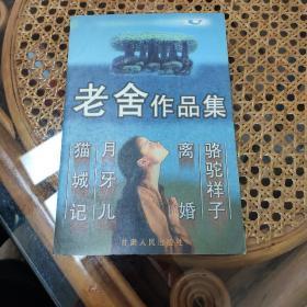 中国女性小说精选