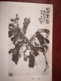 美术插页，霍春阳国画《枇杷》，苏静戏剧人物画（单张）