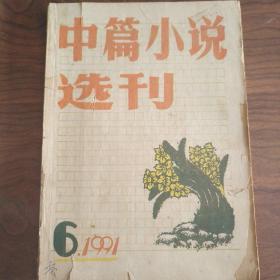 中篇小说选刊（1991/6）