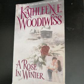 A Rose in Winter