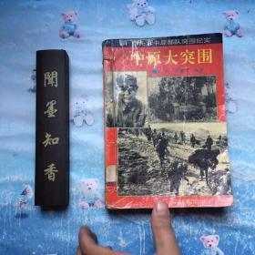 中原大突围:李先念中原部队突围纪实