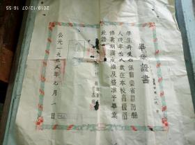 1955年澄海县第四区中心小学毕业证，年龄19岁，高级部，有县政府印,樟林文献