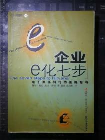 企业E化七步：企业电子商务战略与操作指南（第2册）