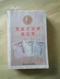 矛盾文学奖精品集