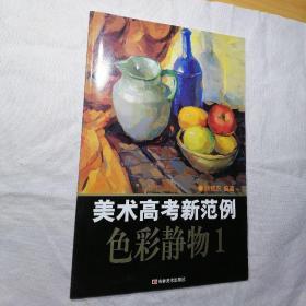 美术高考新范例：色彩静物1