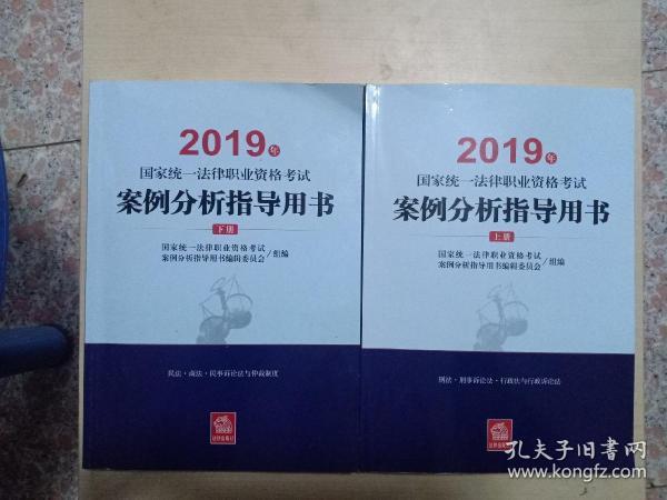 司法考试2019 2019年国家统一法律职业资格考试案例分析指导用书（全2册）