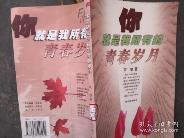 你就是我所有的青春岁月