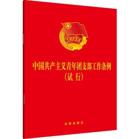 中国共产主义青年团支部工作条例试行