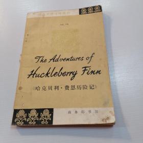 The adventures of hucklelerry finn  （哈克贝利•费恩历险记）