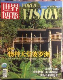 世界博览World Vision （2008.1-12月海外卷12本及2月中国卷1本）