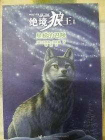 绝境狼王系列：孤独的小狼（1），影子(2)，守卫火山(3)，星梯的召唤。