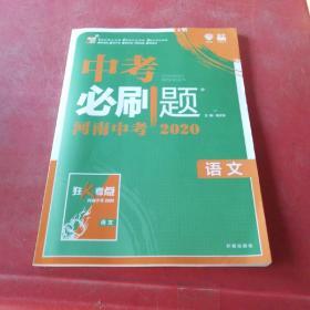 中考必刷题（河南中考2020）语文