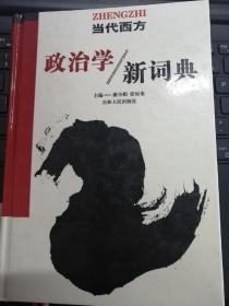 当代西方政治学新词典