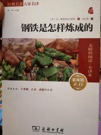 经典名著 大家名译：钢铁是怎样炼成的（无障碍阅读 全译本 素质版）