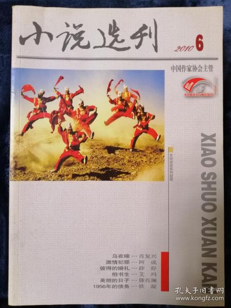 《小说选刊》  2010年第6期  总第301期